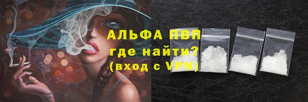 ECSTASY Покачи