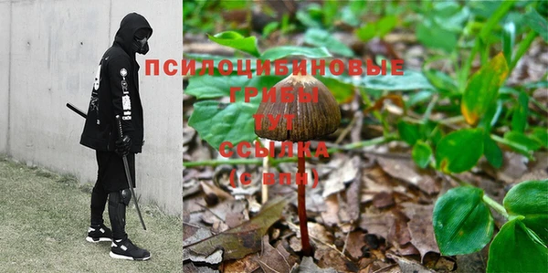 крисы Балахна