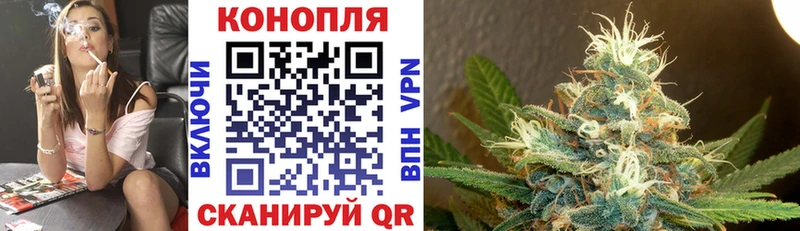 купить  сайты  Павловск  Шишки марихуана THC 21% 
